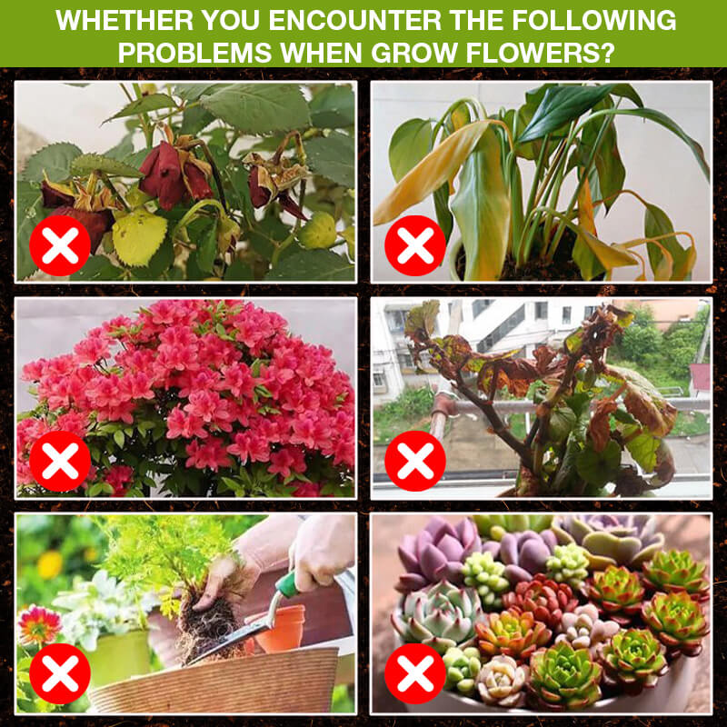 🌿💧 BIO PFLANZENNAHRUNG kaufen: 2 + 1 GRATIS! 🌱💪 Flüssiger Wachstumsbooster für starke Wurzeln & üppige Blüten