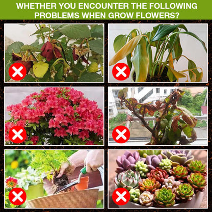 🌿💧 BIO PFLANZENNAHRUNG kaufen: 2 + 1 GRATIS! 🌱💪 Flüssiger Wachstumsbooster für starke Wurzeln & üppige Blüten