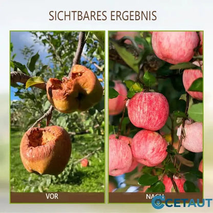 🌿💪 ECOCERT-zertifizierter Bodenaktivator – Stärkt Ihren Boden, fördert üppiges Wachstum mühelos! 🌼✅