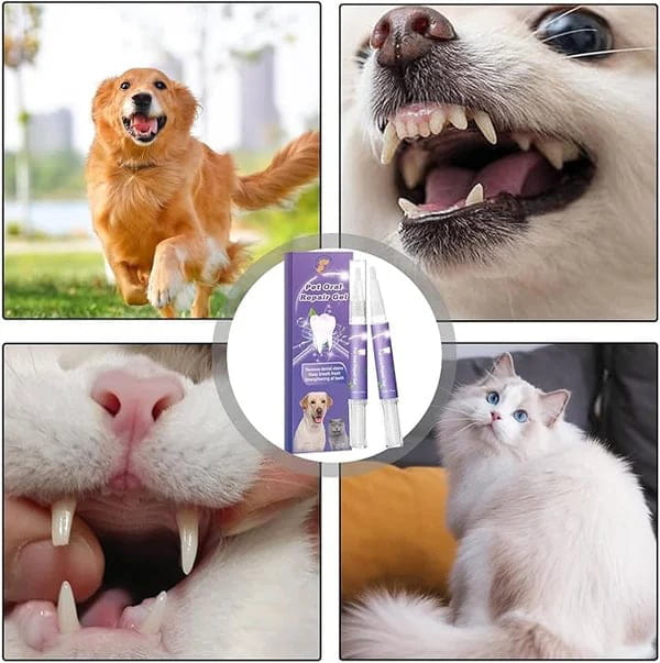 Zahnreparaturgel für Hund und Katze