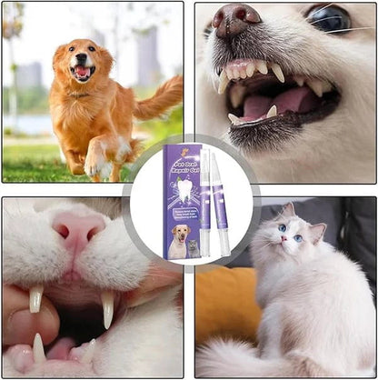 Zahnreparaturgel für Hund und Katze