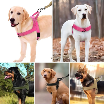 🔥 50 % Rabatt🐶🏆✨Robustes taktisches Hundegeschirr mit Griff🐕