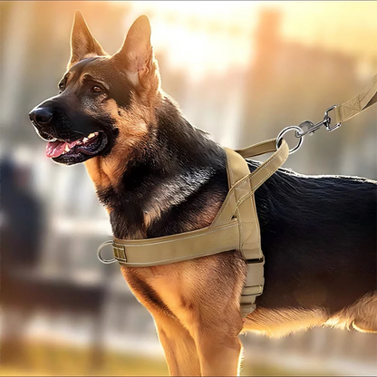🔥 50 % Rabatt🐶🏆✨Robustes taktisches Hundegeschirr mit Griff🐕