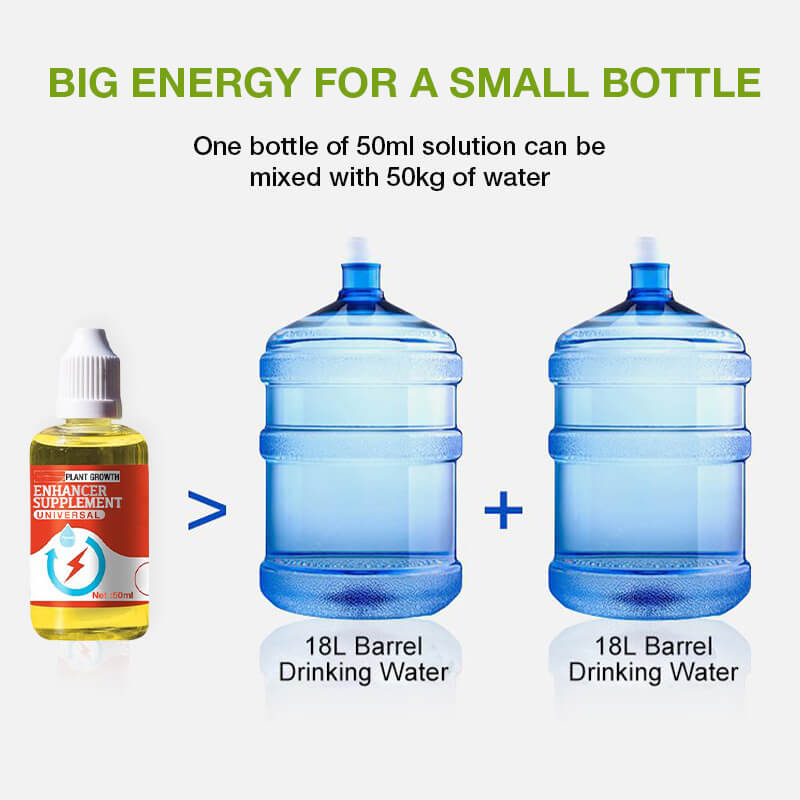 🌿💧 BIO PFLANZENNAHRUNG kaufen: 2 + 1 GRATIS! 🌱💪 Flüssiger Wachstumsbooster für starke Wurzeln & üppige Blüten