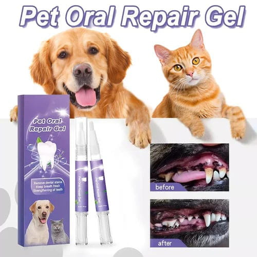 Zahnreparaturgel für Hund und Katze