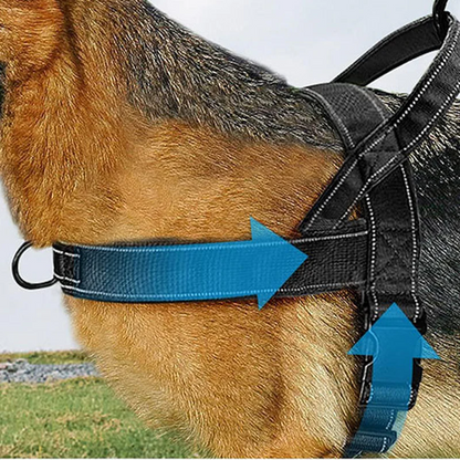 🔥 50 % Rabatt🐶🏆✨Robustes taktisches Hundegeschirr mit Griff🐕