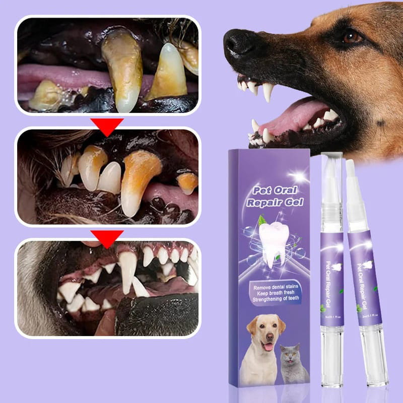 Zahnreparaturgel für Hund und Katze