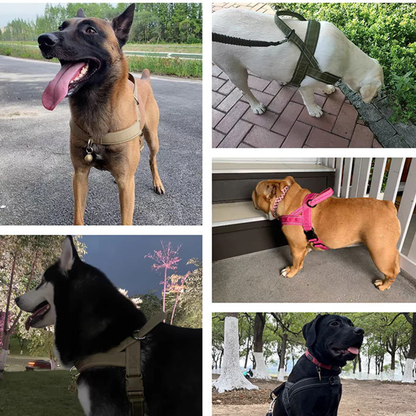 🔥 50 % Rabatt🐶🏆✨Robustes taktisches Hundegeschirr mit Griff🐕