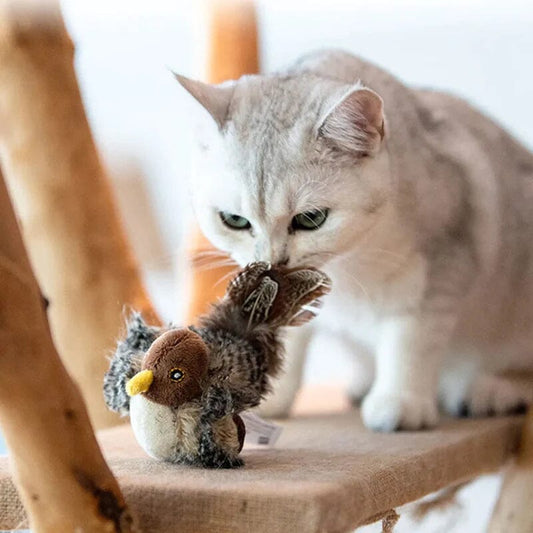 🔥GROSSER VERKAUF 49% RABATT😻🐾Interaktives zwitscherndes Vogel-Katzenspielzeug