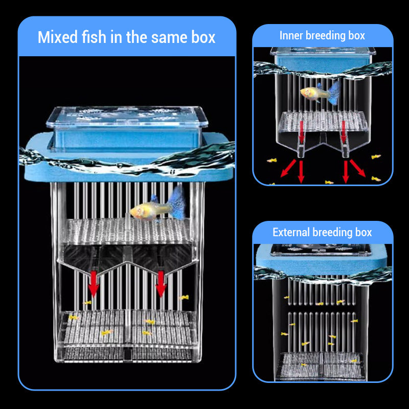 🐟💧 Nur für kurze Zeit zum halben Preis! 4-lagiger, abnehmbarer Acryl-Fischbrutkasten 🛡️ — Mit Schutzfunktion für sichere Aufzucht Ihrer Jungfische 🐠✨