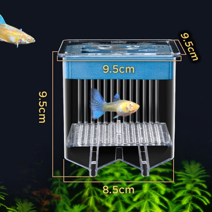🐟💧 Nur für kurze Zeit zum halben Preis! 4-lagiger, abnehmbarer Acryl-Fischbrutkasten 🛡️ — Mit Schutzfunktion für sichere Aufzucht Ihrer Jungfische 🐠✨