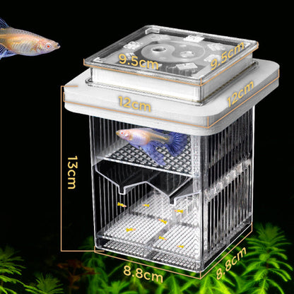 🐟💧 Nur für kurze Zeit zum halben Preis! 4-lagiger, abnehmbarer Acryl-Fischbrutkasten 🛡️ — Mit Schutzfunktion für sichere Aufzucht Ihrer Jungfische 🐠✨