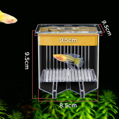 🐟💧 Nur für kurze Zeit zum halben Preis! 4-lagiger, abnehmbarer Acryl-Fischbrutkasten 🛡️ — Mit Schutzfunktion für sichere Aufzucht Ihrer Jungfische 🐠✨