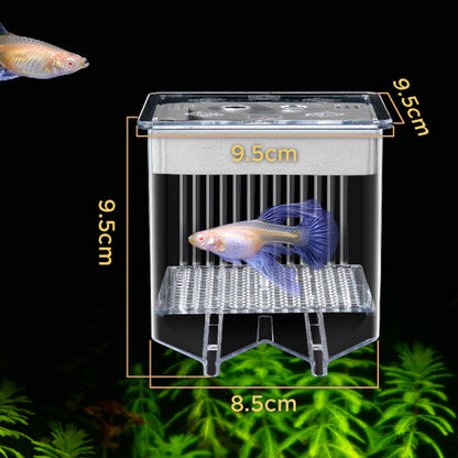 🐟💧 Nur für kurze Zeit zum halben Preis! 4-lagiger, abnehmbarer Acryl-Fischbrutkasten 🛡️ — Mit Schutzfunktion für sichere Aufzucht Ihrer Jungfische 🐠✨