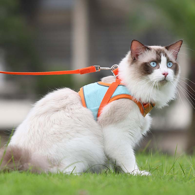 🐾Anti-Flucht-Reflexionsband für Katzen mit Leine