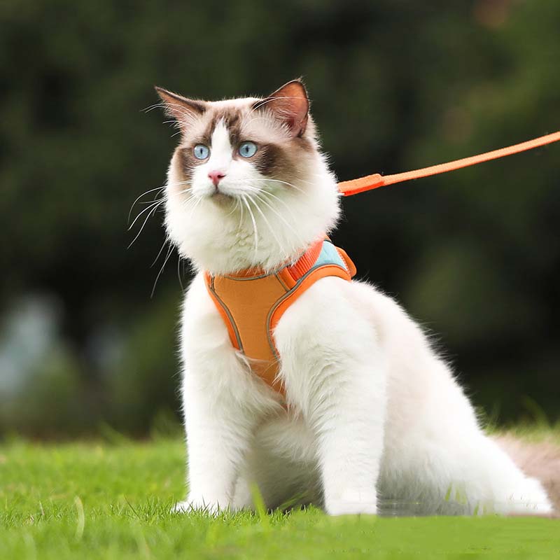 🐾Anti-Flucht-Reflexionsband für Katzen mit Leine