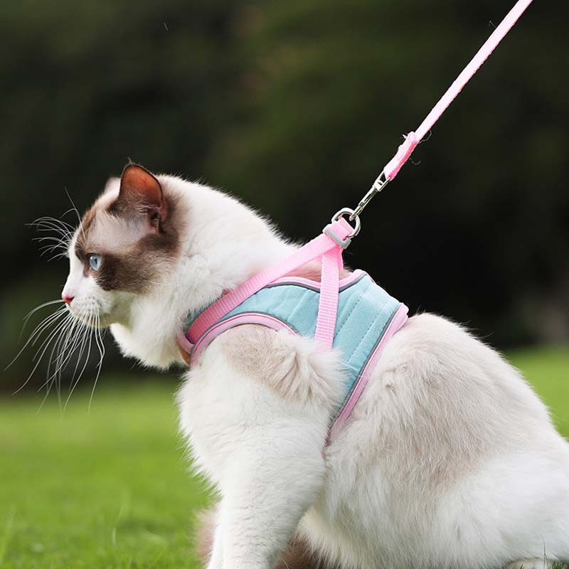 🐾Anti-Flucht-Reflexionsband für Katzen mit Leine
