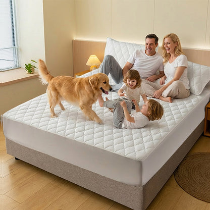 ⏳Zeitlich begrenzt 50 % Rabatt💥💥Wasserdichte Wattierte Matratzenauflage & Kissenbezüge Set