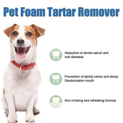 ✨ Sonderangebot 50% RABATT! !🐾 Schaum-Zahnsteinentferner für Haustiere – Natürliche Formel & mühelose Anwendung!