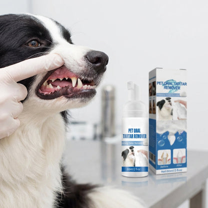 ✨ Sonderangebot 50% RABATT! !🐾 Schaum-Zahnsteinentferner für Haustiere – Natürliche Formel & mühelose Anwendung!