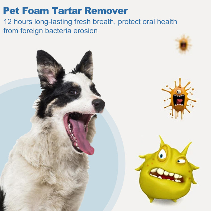 ✨ Sonderangebot 50% RABATT! !🐾 Schaum-Zahnsteinentferner für Haustiere – Natürliche Formel & mühelose Anwendung!