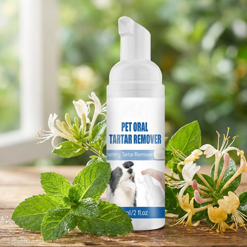 💘 Valentinstagsangebot: 50% Rabatt!🐾 Schaum-Zahnsteinentferner für Haustiere – Natürliche Formel & mühelose Anwendung!