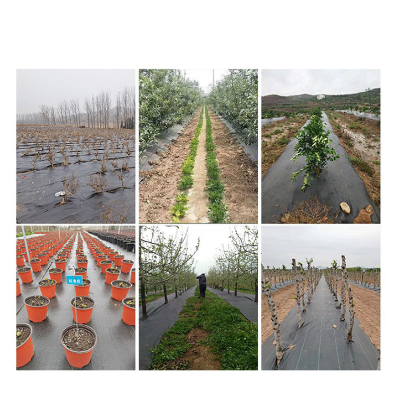 🔥 50 % Rabatt !⛏🌿 Unkrautvlies – Sonnenschutz, atmungsaktiv und ideal für Beete und Wege 📉