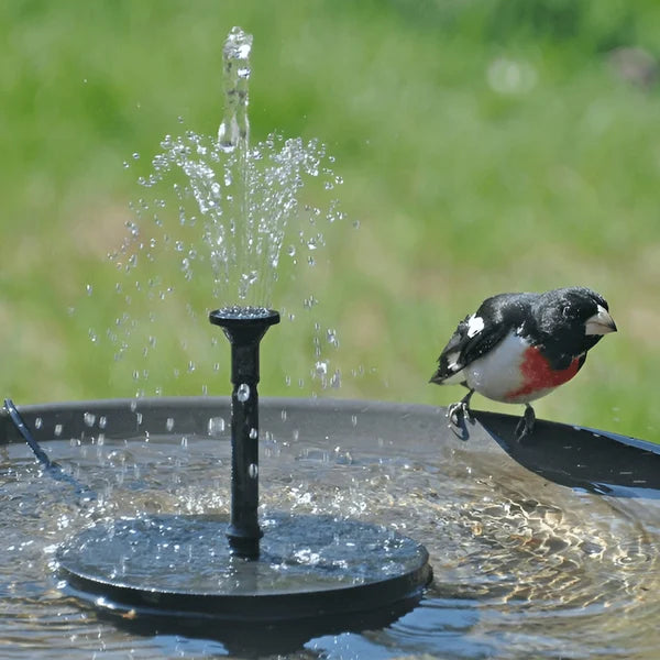 ⏳Zeitlich begrenztes Sonderangebot⏰Kompakte Solar-Vogelbrunnenpumpe – Erfrischen Sie Ihren Garten! 🐦️