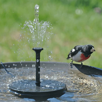 ⏳Zeitlich begrenztes Sonderangebot⏰Kompakte Solar-Vogelbrunnenpumpe – Erfrischen Sie Ihren Garten! 🐦️