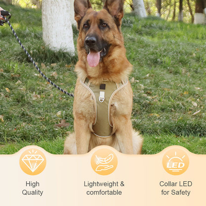 🐾 Anti-Zug Hundegeschirr mit Front-D-Ring 🦮 inkl. Leine & LED-Halsband 🔥 sicher & komfortabel