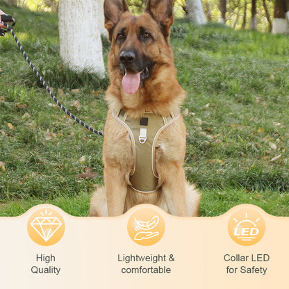 🐕 48% RABATT! ✨ Hundegeschirr ohne Zugkraft mit Leine und LED-Halsband – Vorderer D-Ring, Reflektierend, Verstellbar 🦮