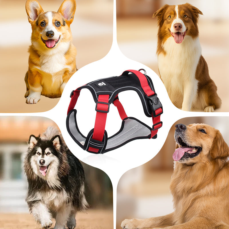 🐾 Anti-Zug Hundegeschirr mit Front-D-Ring 🦮 inkl. Leine & LED-Halsband 🔥 sicher & komfortabel