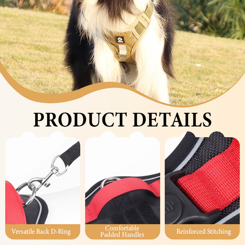 🐾 Anti-Zug Hundegeschirr mit Front-D-Ring 🦮 inkl. Leine & LED-Halsband 🔥 sicher & komfortabel