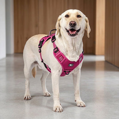 🐕🏔️ 50% RABATT! Robustes Outdoor-Hundegeschirr in Westenform – Verstellbar, atmungsaktiv & reflektierend – Perfekt für Wandern, Joggen & Alltag ✨