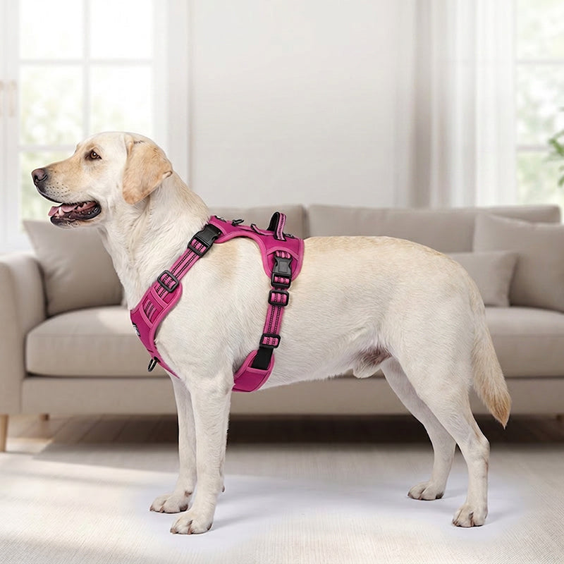 🐕🏔️ 50% RABATT! Robustes Outdoor-Hundegeschirr in Westenform – Verstellbar, atmungsaktiv & reflektierend – Perfekt für Wandern, Joggen & Alltag ✨
