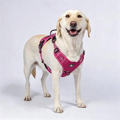 🐕🏔️ 50% RABATT! Robustes Outdoor-Hundegeschirr in Westenform – Verstellbar, atmungsaktiv & reflektierend – Perfekt für Wandern, Joggen & Alltag ✨