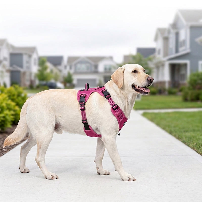 🐕🏔️ 50% RABATT! Robustes Outdoor-Hundegeschirr in Westenform – Verstellbar, atmungsaktiv & reflektierend – Perfekt für Wandern, Joggen & Alltag ✨