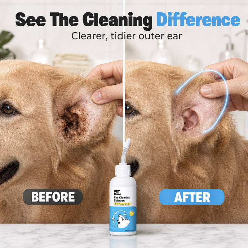 💥 50 % Rabatt ! Ohrentropfen für Haustiere Kräuterformel – Kein Tierarzt, voller Schutz! 🐾 Für Katzen & Hunde, löst Schmutz auf, reduziert Gerüche ✨ Limitiertes Angebot ⏳
