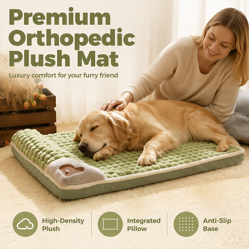 🛍️ 50 % Rabatt – Gepolsterte, waschbare Hundematte – weich, warm & vielseitig für Hunde & Katzen – ideal für alle Jahreszeiten 🐾