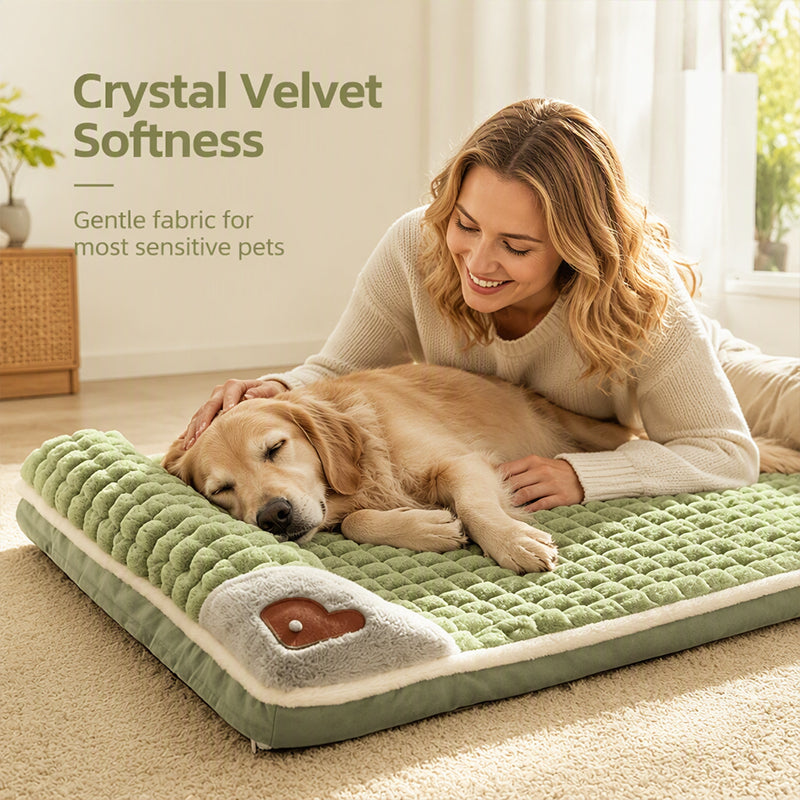 🛍️ 50 % Rabatt – Gepolsterte, waschbare Hundematte – weich, warm & vielseitig für Hunde & Katzen – ideal für alle Jahreszeiten 🐾