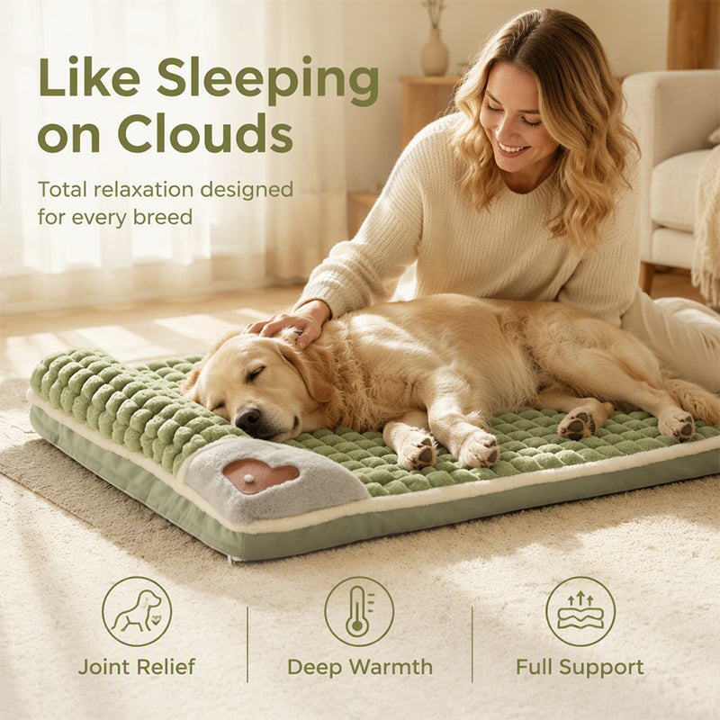 🛍️ 50 % Rabatt – Gepolsterte, waschbare Hundematte – weich, warm & vielseitig für Hunde & Katzen – ideal für alle Jahreszeiten 🐾