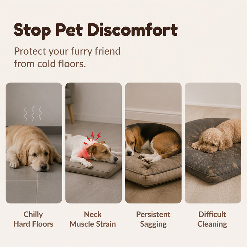 🛍️ 50 % Rabatt – Gepolsterte, waschbare Hundematte – weich, warm & vielseitig für Hunde & Katzen – ideal für alle Jahreszeiten 🐾