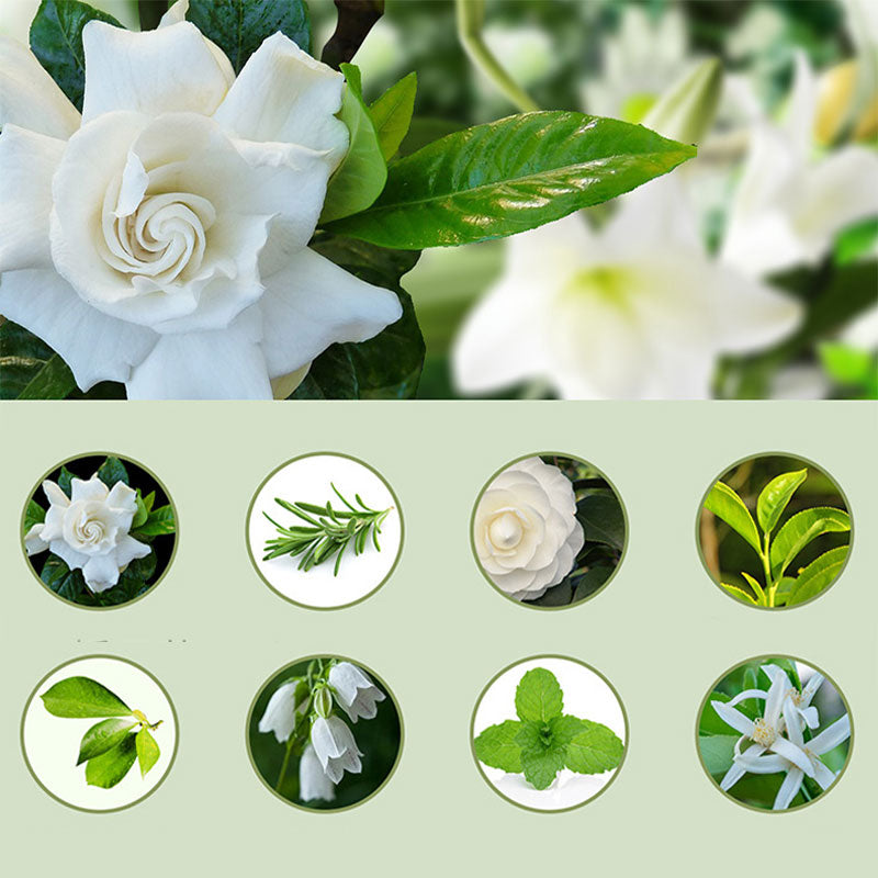 🌿Youtube Sale 50% RABATT! 💨 Aromatherapie-Diffusor – Ultraschall, Timer & Smart-Display ✨