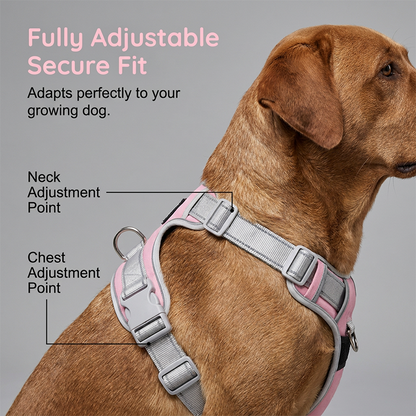 🐕 50 % Rabatt ! Hundegeschirr ohne Zug – Geschirr- und Leinen-Setendlich entspannt! 🐕 Atmungsaktives Mesh, reflektierende Gurte & Haltegriff ⚡ Limitiertes Angebot ⏳