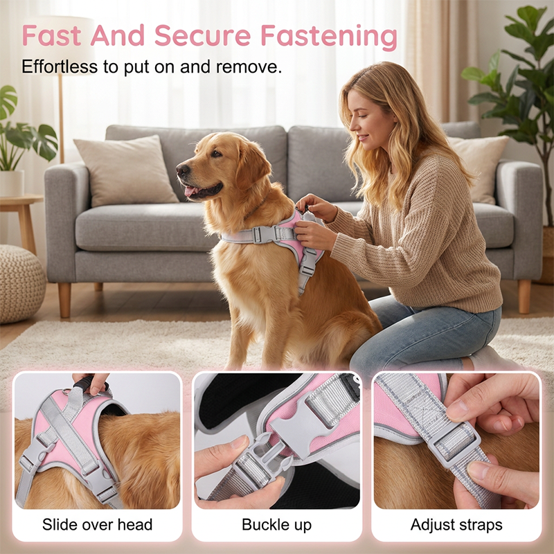 🐕 50 % Rabatt ! Hundegeschirr ohne Zug – Geschirr- und Leinen-Setendlich entspannt! 🐕 Atmungsaktives Mesh, reflektierende Gurte & Haltegriff ⚡ Limitiertes Angebot ⏳