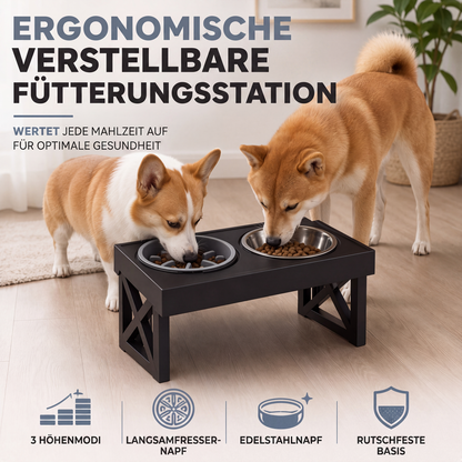 🐶 50 % Rabatt !🐱Erhöhte Hundenäpfe mit Slow-Feeder-Einsatz und Edelstahlnäpfen