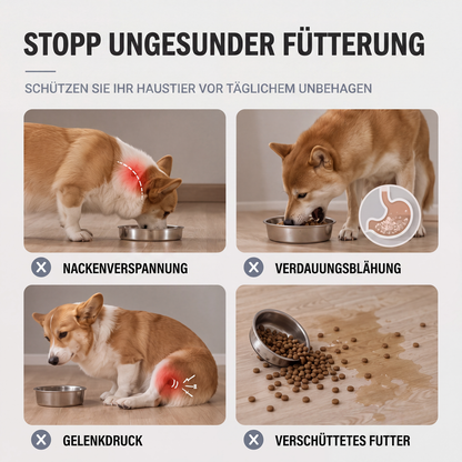 🐶 50 % Rabatt !🐱Erhöhte Hundenäpfe mit Slow-Feeder-Einsatz und Edelstahlnäpfen