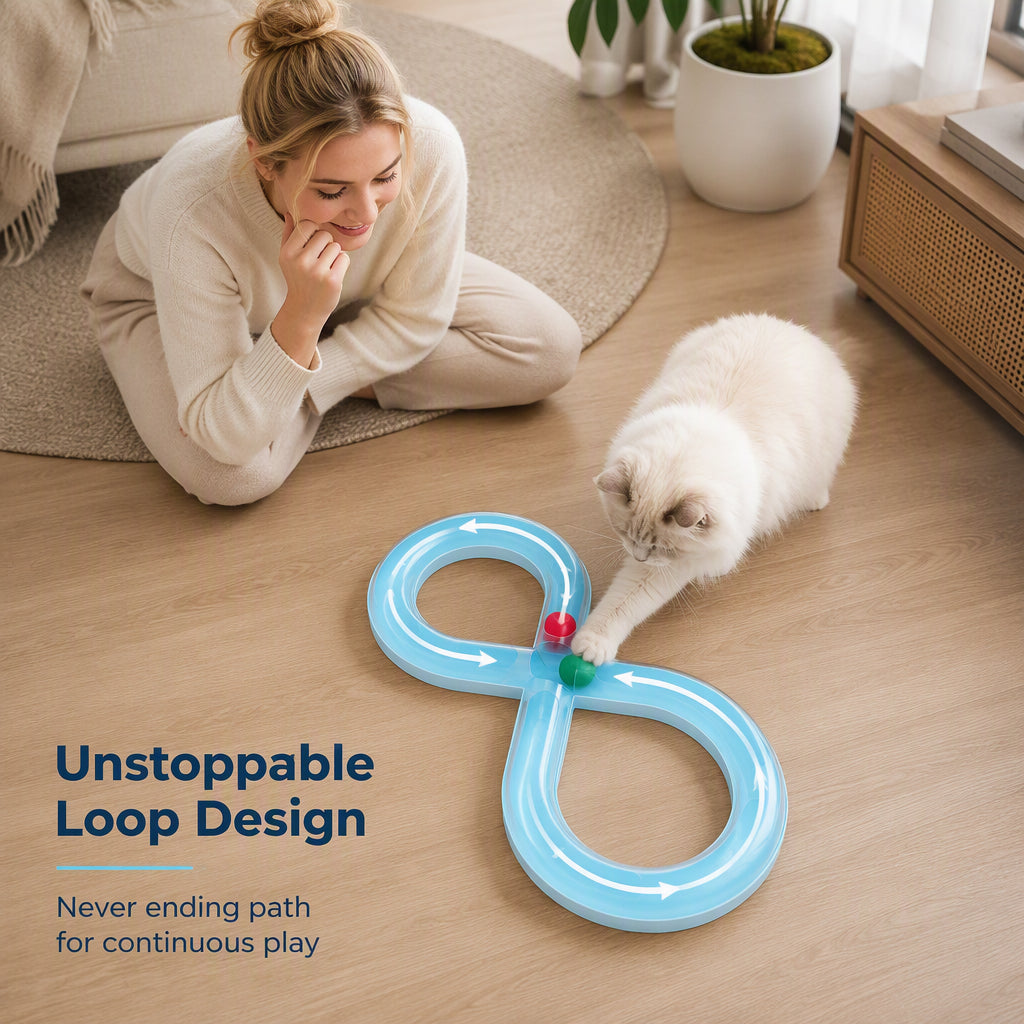 🐾 50 % Rabatt ! Interaktives Achter-Katzenspielzeug – Endloser Spaß, keine Langeweile! 😻 Weckt den Jagdinstinkt, rollt reibungslos, extrem robust ✨