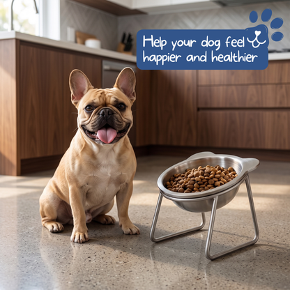 🥣50% Sonderangebot🐾 Gesunde Ernährung beginnt mit der richtigen Haltung! – Der erhöhte 15°-Schrägnapf – beugt Verschlucken vor & schont Nacken und Gelenke – für Hunde & Katzen jeden Alters✨