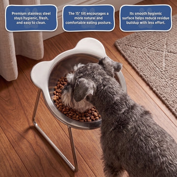 🥣50% Sonderangebot🐾 Gesunde Ernährung beginnt mit der richtigen Haltung! – Der erhöhte 15°-Schrägnapf – beugt Verschlucken vor & schont Nacken und Gelenke – für Hunde & Katzen jeden Alters✨